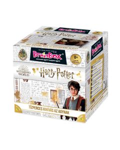 Brainbox Harry Potter társasjáték