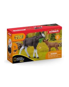 Schleich 42603 Jávorszarvas borjúval - Natgeo Kids