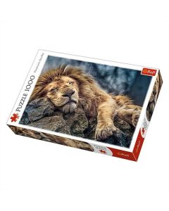 Trefl puzzle 1000 db - Alvó oroszlán