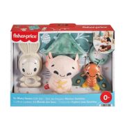 Fisher-Price Sensimals Helló érzékelés játékszett - 4 szenzoros játékkal