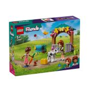 LEGO® Friends 42607 Autumn boci pajtája