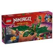 LEGO® Ninjago 71829 Lloyd zöld, erdei sárkánya