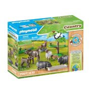 PLAYMOBIL® 71307 Tanyasi állatkák